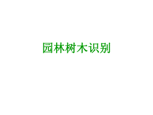 园林树木识别稿.ppt