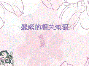 关于墙纸.ppt.ppt
