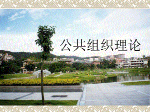 公共组织理论讲义(新1).ppt