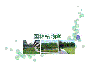 园林植物基础.ppt