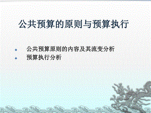 公共预算原则和预算执行.ppt