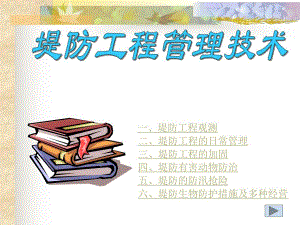 堤防工程管理技术.ppt