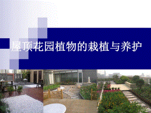 屋顶花园植物栽植养护.ppt