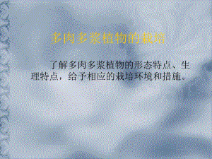 多肉多浆植物.ppt