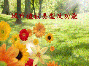 城市植被类型及功能.ppt