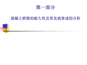 桥梁预防性养护混凝土桥梁的耐久性及常见病害成因分析.ppt