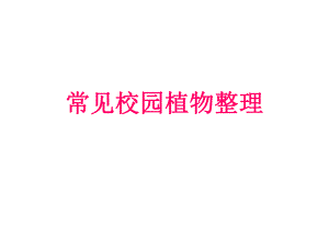 常见校园植物整理.ppt
