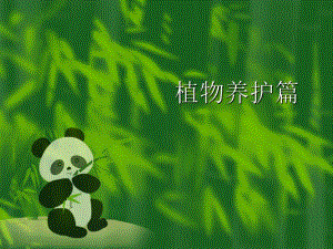 常见植物养护资料.ppt