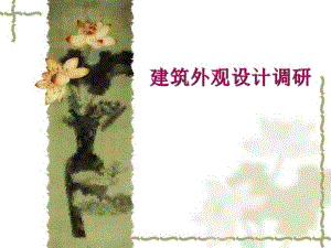 建筑外观设计调研培训讲座PPT.ppt