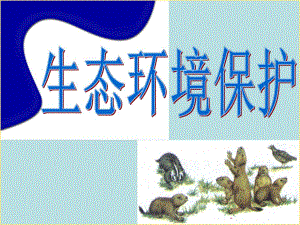 生态环境保护.ppt