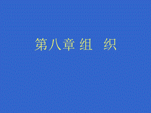 管理学ppt——组织.ppt