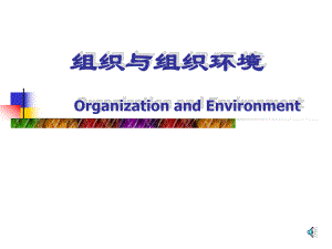 组织与组织环境.ppt