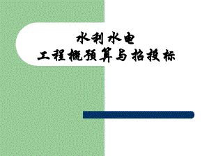 水利水电工程概预算与招投标费用构成.ppt