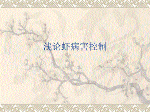 浅论虾病害控制.ppt