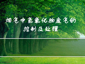氮氧化物废气的处理.ppt