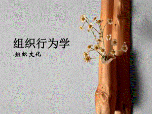 组织行为学组织文化.ppt