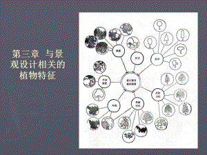 第三章与景观设计相关的植物特征.ppt