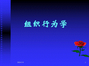 组织行为学PPT.ppt