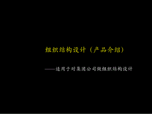 组织结构设计（产品介绍）适合集团公司.ppt