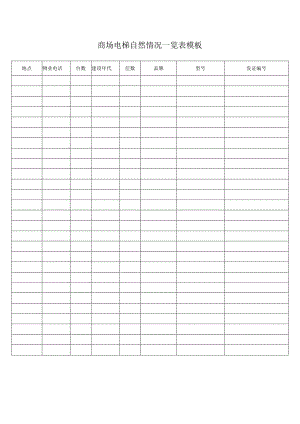 商场电梯自然情况一览表模板.docx