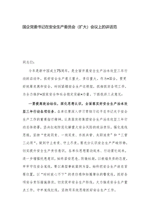国企党委书记在安全生产委员会（扩大）会议上的讲话范文.docx