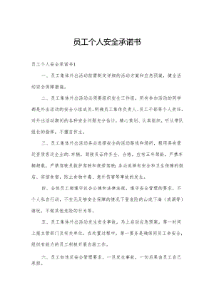 员工个人安全承诺书.docx