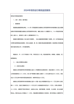 2024年项目运行绩效监控报告.docx