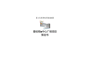 2024株洲曼哈顿中央广场项目策划书.docx