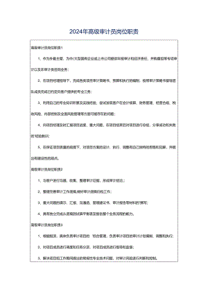2024年高级审计员岗位职责.docx