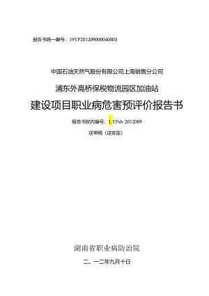 浦东外高桥保税物流园区加油站项目.docx