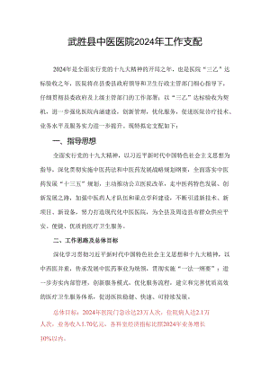 武胜县中医医院2024年工作计划.docx