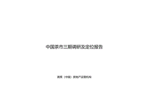 浙江茶市三期休闲娱乐风情街项目调研及定位报告_51页_2.docx