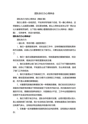 团队执行力的心得体会（精选5篇）.docx