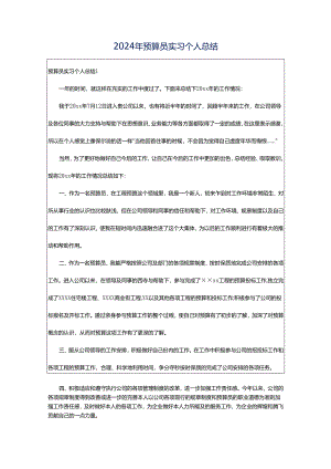 2024年预算员实习个人总结.docx