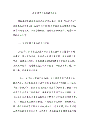 县爱国卫生工作调研报告.docx