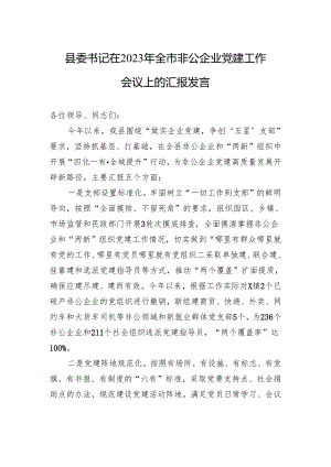 县委书记在2023年全市非公企业党建工作会议上的汇报发言.docx