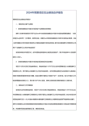 2024年预算项目支出绩效自评报告.docx
