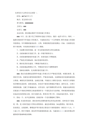 -支部党员大会的会议记录.docx