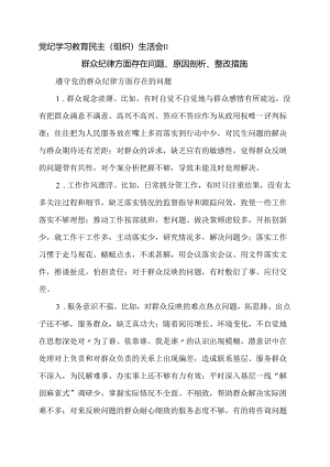04党纪学习教育民主（组织）生活会‖群众纪律方面存在问题、原因剖析、整改措施.docx