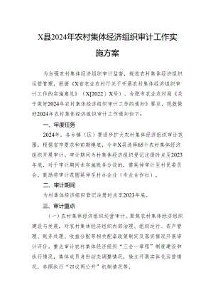 县2024年农村集体经济组织审计工作实施方案.docx