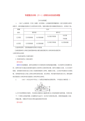(十一)动物生命活动的调节.docx