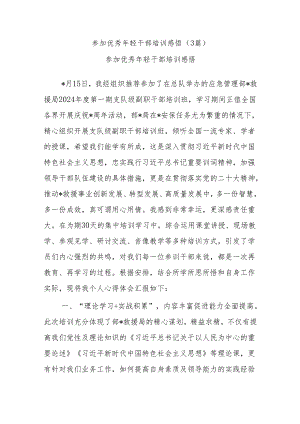 (3篇)参加优秀年轻干部培训感悟.docx