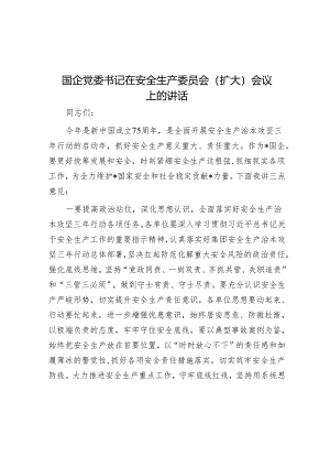 国企党委书记在安全生产委员会（扩大）会议上的讲话.docx