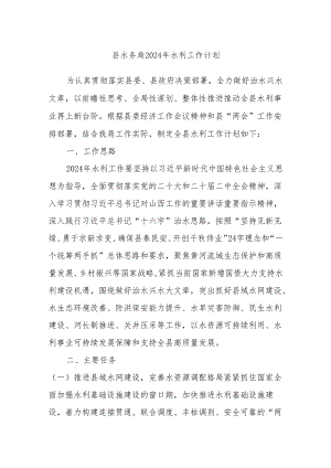 县水务局2024年水利工作计划.docx