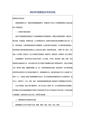 2024年预算部长年终总结.docx