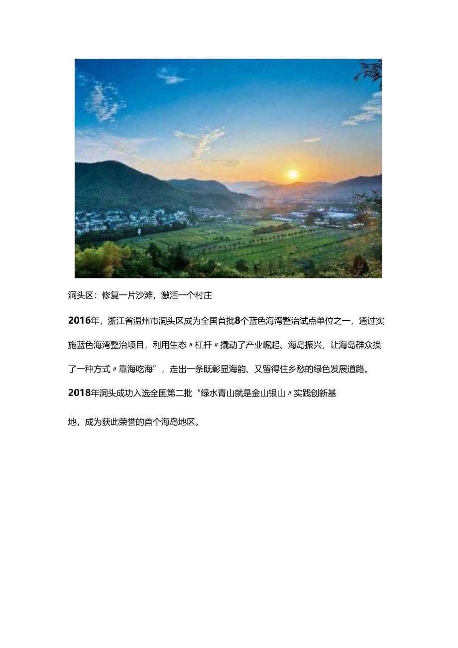 浙江省乡村振兴十大模式及案例.docx_第3页