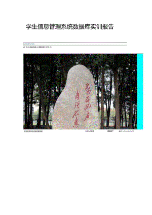 -学生信息管理系统数据库实训报告.docx