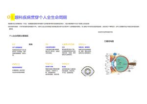 2024眼科诊疗行业简析报告.docx