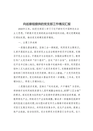 向巡察组提供的党支部工作情况汇报&在2023年镇巡察工作动员会上的表态发言.docx