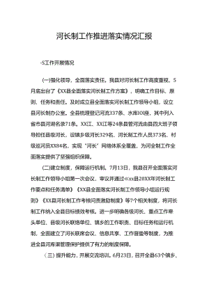 河长制工作推进落实情况汇报.docx